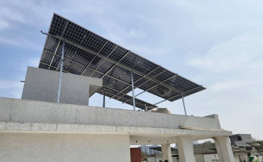 Asuvas-ternament1 Asuvas-ternament1